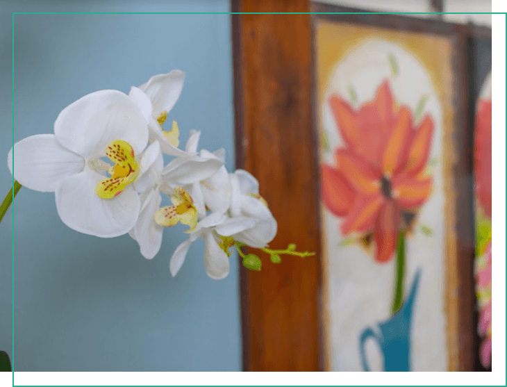 serenitylight-philosophy-01
